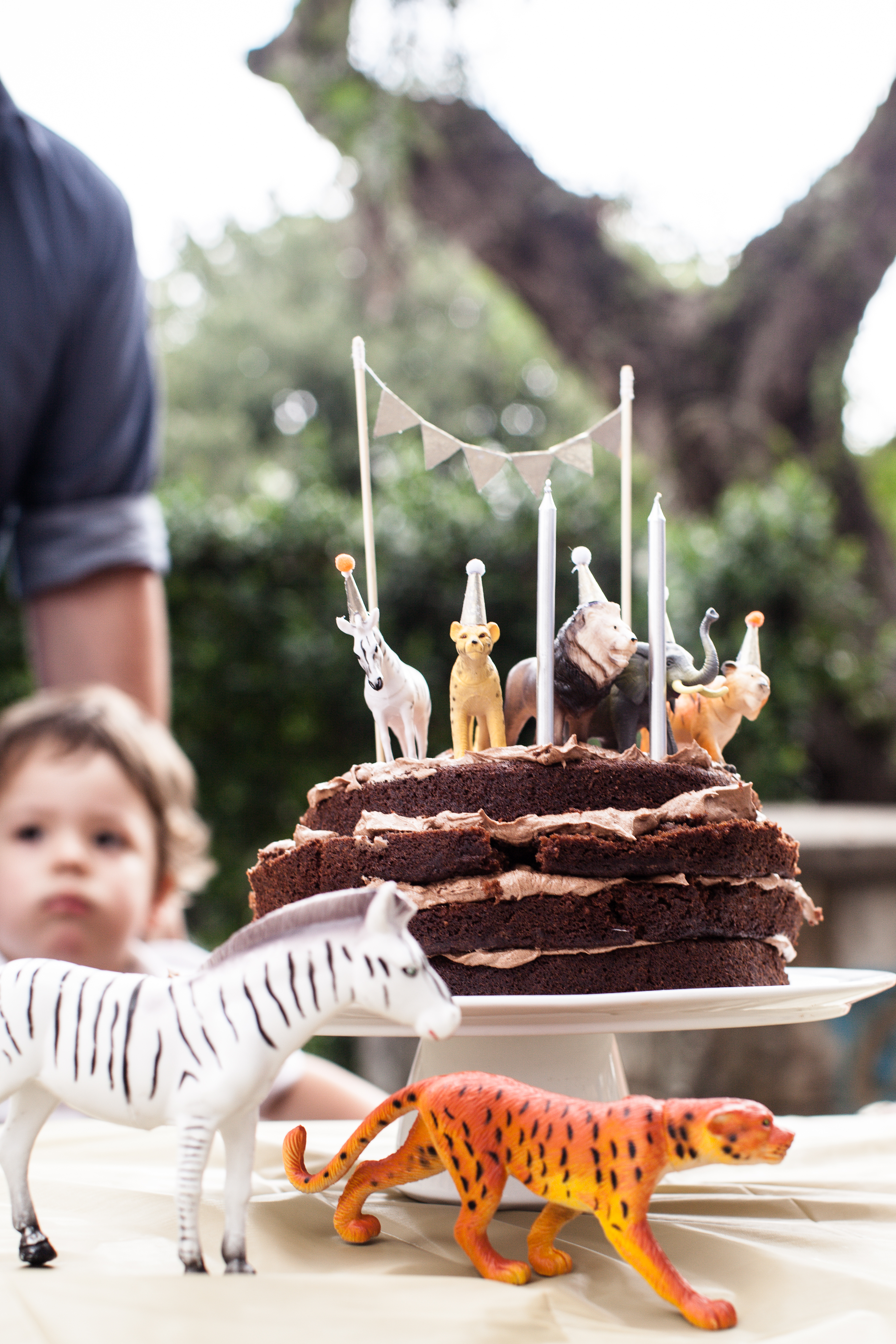 Hamish2Birthday-5